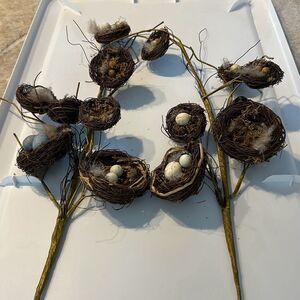 Birds Nests 28” Sprays